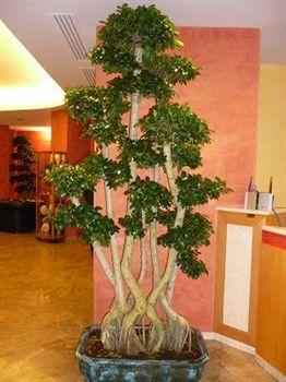 Anghiari Hotel Hotel